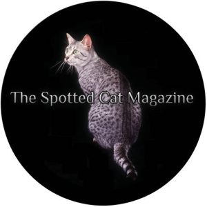 The Spotted Cat logo